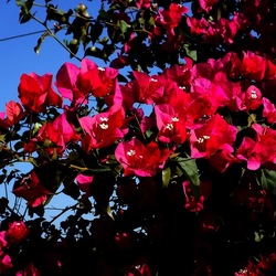 CAMPEGGIO fotografie di Giulio Azzarello ©2019. CAMPEGGIO fotografie di Giulio Azzarello ©2019.