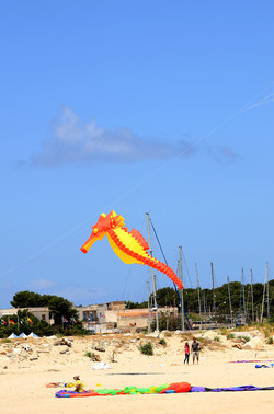 GLI AQUILONI di SAN VITO in Sicilia. Fotografie di Giulio Azzarello &copy;2015 2016.