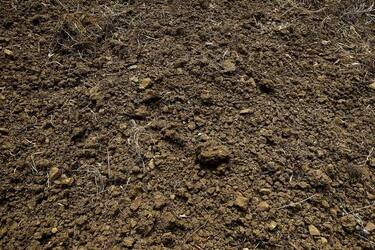 ULIVETO SICILIANO. Fotografie di Giulio Azzarello ©2022.