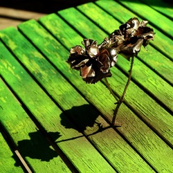 METALLICO. Fotografia di Giulio Azzarello &copy;2023.