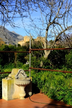 CAMPAGNA fotografie di Giulio Azzarello ©2020.