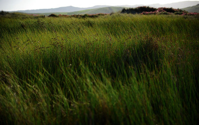 PAESAGGIO SICILIANO nel luogo delle macalube in Sicilia. Fotografie di Giulio Azzarello &copy;2014.