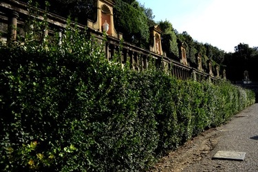 FIRENZE PALAZZO PITTI e GIARDINO DI BOBOLI. Fotografie di Giulio Azzarello &copy;2022.