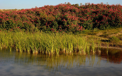 PAESAGGIO SICILIANO nel luogo delle macalube in Sicilia. Fotografie di Giulio Azzarello &copy;2014.