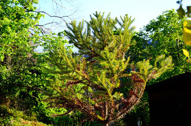 GOLE DELL ALCANTARA in Sicilia. Fotografie di Giulio Azzarello &copy;2016.