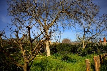 CAMPAGNA fotografie di Giulio Azzarello ©2020.