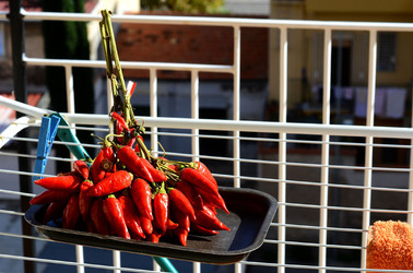 PEPERONCINO fotografie di Giulio Azzarello ©2014. PEPERONCINO fotografie di Giulio Azzarello ©2014.