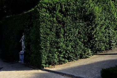 FIRENZE PALAZZO PITTI e GIARDINO DI BOBOLI. Fotografie di Giulio Azzarello &copy;2022.