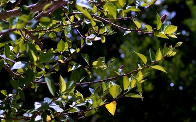 DIGITALIZZAZIONI fotografie di Giulio Azzarello &copy;2020.