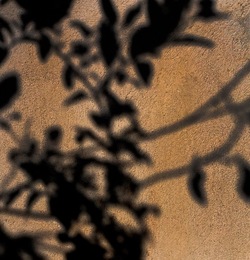 OMBRE di agosto. Fotografie di Giulio Azzarello &copy;2018.