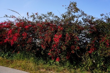 MONDELLO. Fotografie di Giulio Azzarello &copy;2023.