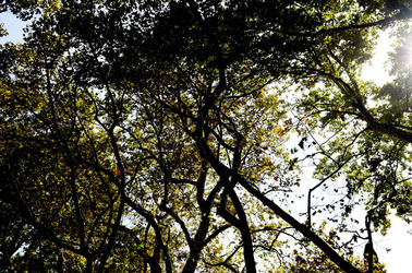 GIARDINI della BIENNALE a Venezia. Foto di Giulio Azzarello &copy;2015 2016.