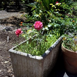 FOTO QUADRATE 6X6. Fotografie di Giulio Azzarello ©2021. FOTO QUADRATE 6X6. Fotografie di Giulio Azzarello ©2021.