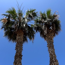 SAN VITO LO CAPO. Fotografie di Giulio Azzarello &copy;2023.
