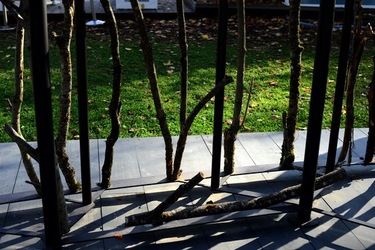 VENEZIA installazione lignea Giardini della Biennale di Arch. Cont. Fotografie di Giulio Azzarello &copy;2022.