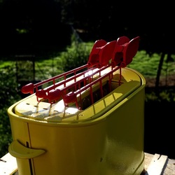 TOAST. Fotografie di Giulio Azzarello &copy;2025.