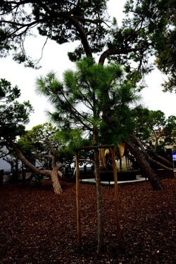 BIENNALE ARTI CONTEMPORANEE DI VENEZIA fotografie di Giulio Azzarello ©2020.