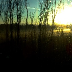 TRENO fotografie di Giulio Azzarello ©2020. TRENO fotografie di Giulio Azzarello ©2020.