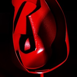 CALICE ROSSO. Fotografia di Giulio Azzarello &copy;2023.