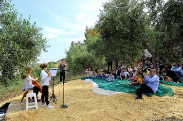 FRANTOIO GULLO ad Aliminusa in Sicilia. Fotografie di Giulio Azzarello &copy;2018.
