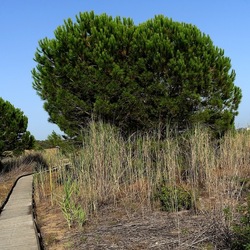 SELINUNTE. Fotografie di Giulio Azzarello ©2022. SELINUNTE. Fotografie di Giulio Azzarello ©2022.