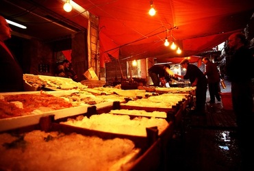 VUCCIRIA anni 90. Fotografie di Giulio Azzarello ©2022. VUCCIRIA anni 90. Fotografie di Giulio Azzarello ©2022.