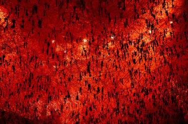 BIENNALE di VENEZIA padiglione giapponese. Foto di Giulio Azzarello &copy;2015 2016. Opera di Chiharu Shiota The KEY in the HAND .