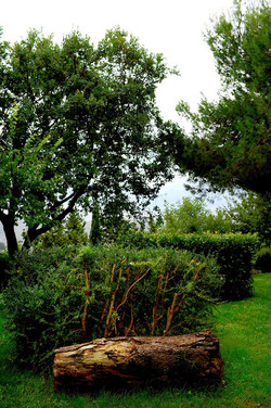 CAMPAGNA SICILIANA. Fotografie di Giulio Azzarello &copy;2016.