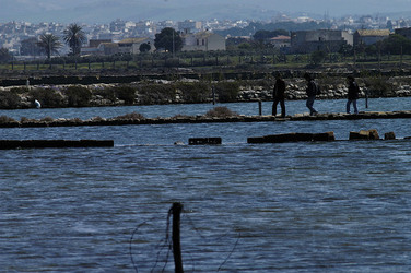 WWF Sicilia le Saline di Trapani. Fotografie di Giulio Azzarello &copy;2014.