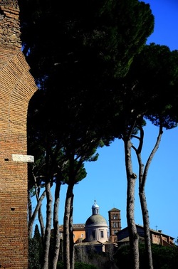 PARCO ARCHEOLOGICO DEL PALATINO Roma. Fotografie di Giulio Azzarello ©2020.