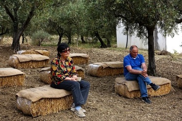 ULIVETO SICILIANO. Fotografie di Giulio Azzarello ©2022.