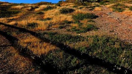 CAPO RAMA riserva naturale Terrasini. Fotografie di Giulio Azzarello &copy;2020.