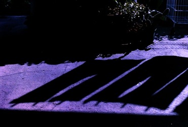 DIGITALIZZAZIONI fotografie di Giulio Azzarello &copy;2020.