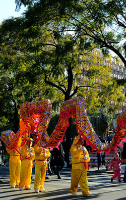 CAPODANNO CINESE panoramiche e particolari. Fotografie di Giulio Azzarello &copy;2014.