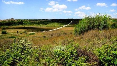 SELINUNTE sito archeologico. Fotografie di Giulio Azzarello ©2018. SELINUNTE sito archeologico. Fotografie di Giulio Azzarello ©2018.