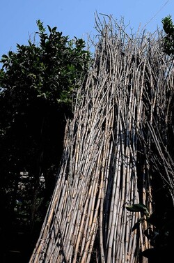 IL CANNETO del contadino siciliano. Fotografie di Giulio Azzarello &copy;2014.
