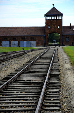 AUSCHIWITZ BIRKENAU il luogo della storia il campo. Fotografie di Giulio Azzarello &copy;2016.
