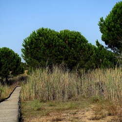 SELINUNTE. Fotografie di Giulio Azzarello ©2022. SELINUNTE. Fotografie di Giulio Azzarello ©2022.