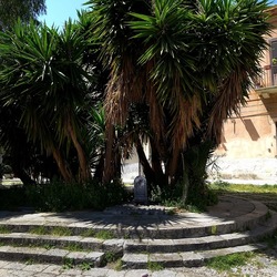 PALERMO. Fotografie di Giulio Azzarello &copy;2023.