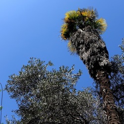 Arabo Normanno. Fotografie di Giulio Azzarello ©2024. Arabo Normanno. Fotografie di Giulio Azzarello ©2024.