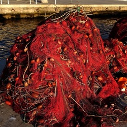 RETI DA PESCA. Fotografie di Giulio Azzarello &copy;2022.