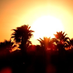 SELINUNTE. Fotografie di Giulio Azzarello ©2022. SELINUNTE. Fotografie di Giulio Azzarello ©2022.