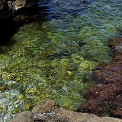 BAIA DEL CORALLO. Fotografie di Giulio Azzarello &copy;2022.