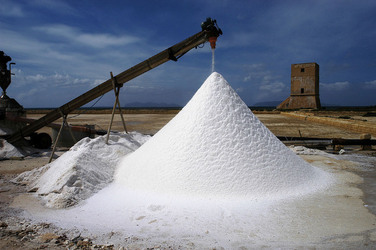WWF Sicilia le Saline di Trapani. Fotografie di Giulio Azzarello &copy;2014.
