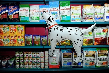 NEGOZIO di ANIMALI. Fotografie di Giulio Azzarello ©2018. NEGOZIO di ANIMALI. Fotografie di Giulio Azzarello ©2018.