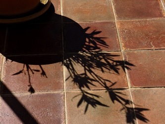 MARINELLA di SELINUNTE fotografie di Giulio Azzarello &copy;2020.