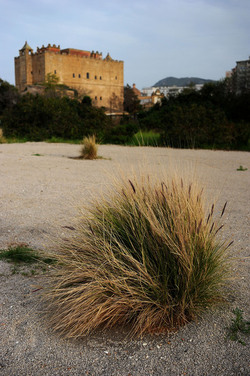 CANTIERI CULTURALI ALLA ZISA a Palermo. Fotografie di Giulio Azzarello &copy;2014.