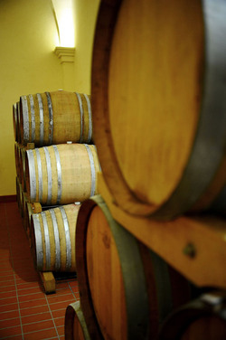 BOTTI per il vino. Fotografie di Giulio Azzarello ©2016. BOTTI per il vino. Fotografie di Giulio Azzarello ©2016.