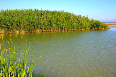 CANNETI in SICILIA. Fotografie di Giulio Azzarello &copy;2016.