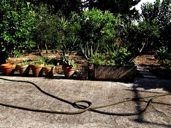 HABITAT NATURA in campagna. Fotografie di Giulio Azzarello ©2015 2016. HABITAT NATURA in campagna. Fotografie di Giulio Azzarello ©2015 2016.